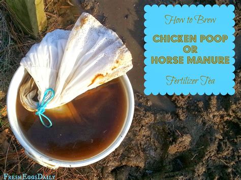 Although horse manure breaks down faster than cow manure, it still should be well composted before using it on a garden during the growing season. How To Brew Chicken Poop (or Horse Manure) Fertilizer Tea ...