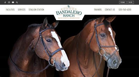 Bandalero Ranch The State Of The Art Reproduction Rehabilitation And