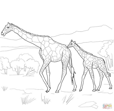 Giraffe Coloring Pages At Free Printable Colorings