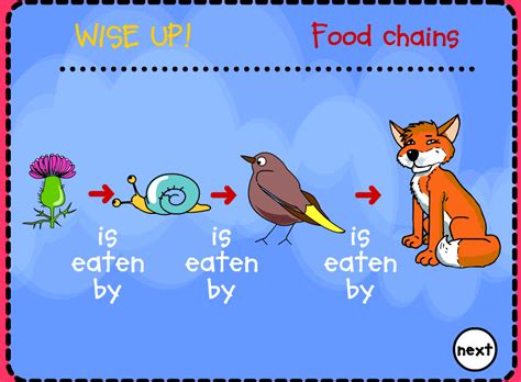 For example, if a particular species of producer is destroyed by a disease in the ecosystem, the herbivores of that area can feed on other species of producers. Ecosystems - English La Farigola