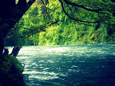 Peaceful River River Natural Landmarks Pictures