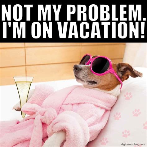 Best Vacation Memes Vacation Meme Vacation Quotes Funny Vacation Quotes