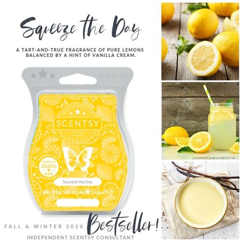 Scentsy Squeeze The Day Scentsy Bars Scentsy Fragrance Scentsy