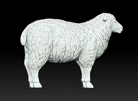 Sheep 3d Print Model Cghero
