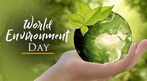 Ahead Of World Environment Day Experts Raise Concerns India Newsthe