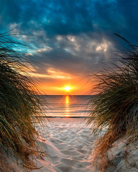 Beach Sand Dunes Sunset