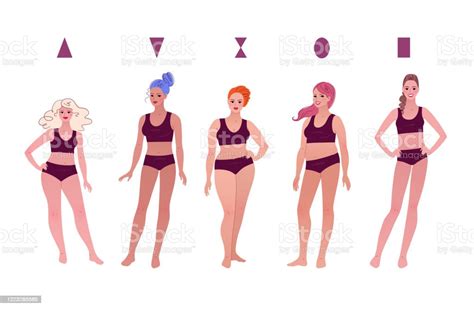 女性の体型のベクターコレクション イラストレーションのベクターアート素材や画像を多数ご用意 イラストレーション インフォグラフィック カットアウト Istock