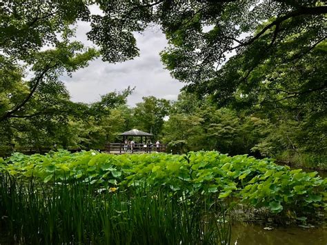Kyoto Botanical Gardens Inside Kyoto