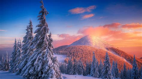 落日雪山，披满雪的树木桌面壁纸 壁纸图片大全