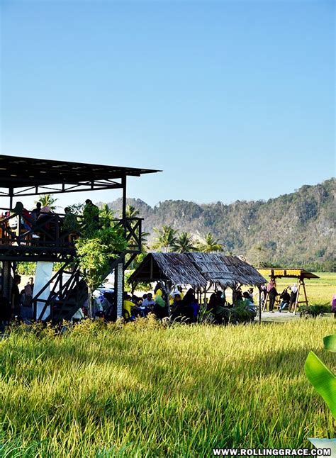 25, jalan indera kayangan, pusat bandar kangar, 01000 kangar, perlis, malaysia. Breakfast by the Paddy Field: Warung Tepi Sawah, Kangar ...