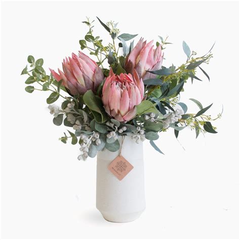 Pink Protea Eucalyptus And Tetra Nuts In Vanilla Vase In Flower