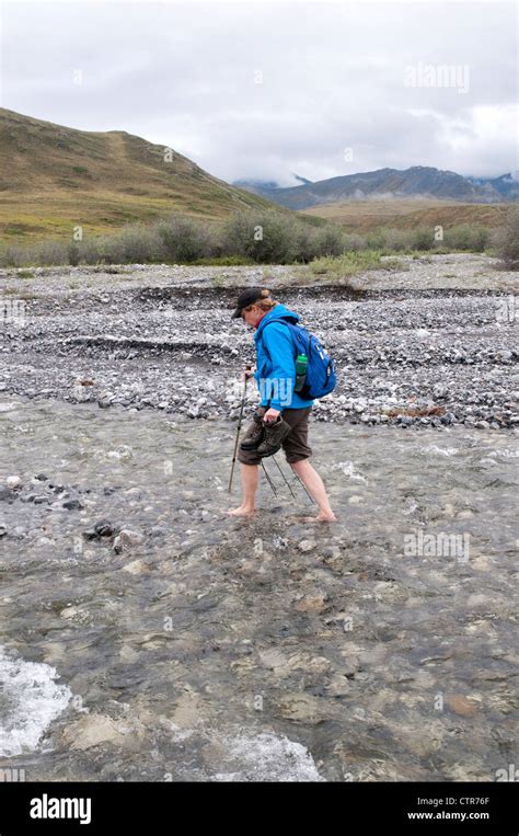 Mature Female Hiker Crossing A Stream Barefoot In The Marsh Fork Of The