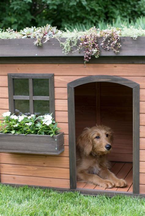 15 Best Fancy Dog Houses Cool Luxury Dog Houses To Buy