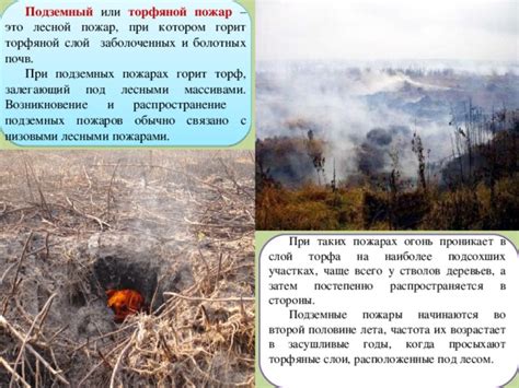 Лесные и торфяные пожары и их характеристика. 7 класс. 2016г.