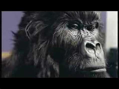 In the air tonight (обалденный бит!!!) — phil collins. Cadbury Gorilla Advert - In The Air Tonight - YouTube