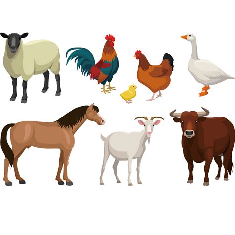 Clipart Dog Farm Animal Farm Animal Vector Png Free Transparent