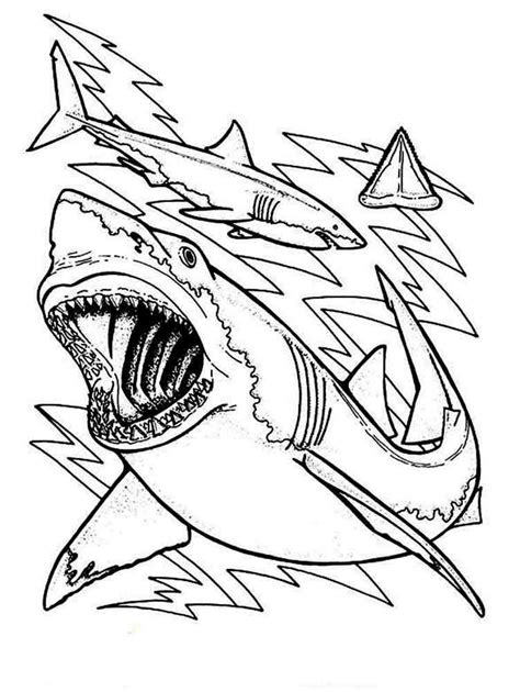 Sharks Coloring Pages Download And Print Sharks Coloring Pages