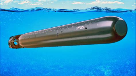 Brasil Recibe Los Primeros Torpedos F Para Pruebas Del Prosub