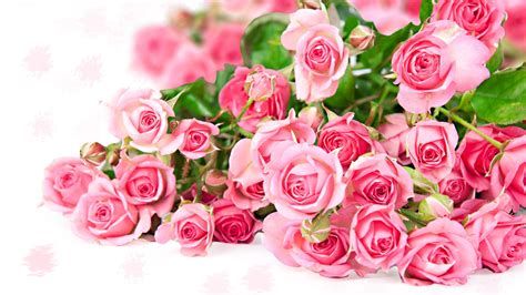 Pink Rose Flower Bouquet Romantic Color Wallpaper 1920x1080 Full Hd