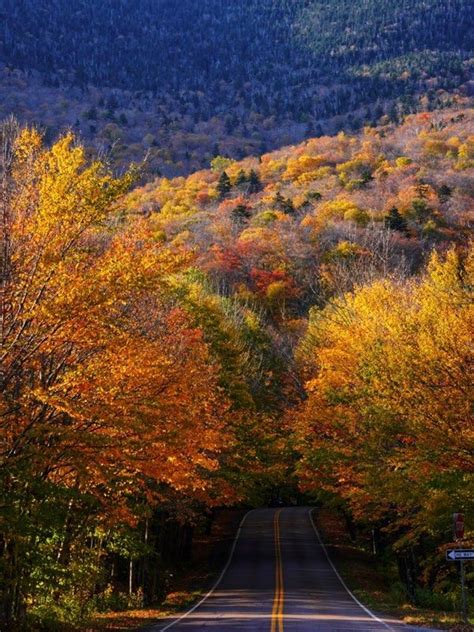 Fall Foliage Road Trip Vermont Mr N Mrs Traveler In 2022 Fall