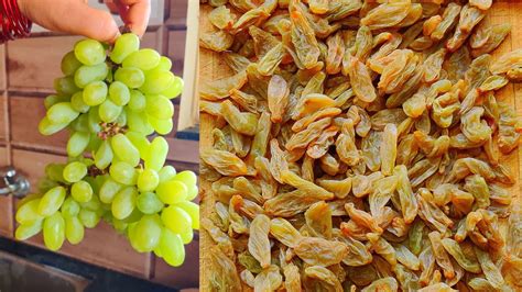 How Its Made Raisins Very Simple Raisin Dry Fruits Processing How