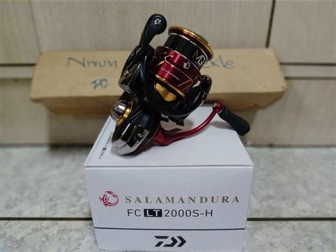 Daiwa Salamandura LT 2000S H Prorex V LT 2500 XH