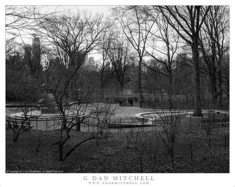 G Dan Mitchell Photograph Central Park Winter — New York G Dan