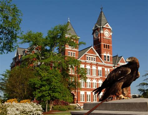 Study Abroad In Auburn University A Top Ranked University
