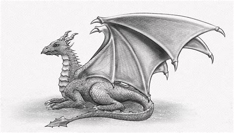 Realistic Dragons Drawings