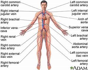 Varicose veins - Multimedia Encyclopedia - Health Information - St. Luke's Hospital  Heart and Circulation Varicose Veins