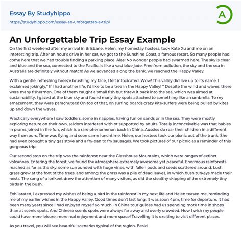 An Unforgettable Trip Essay Example Studyhippo Com