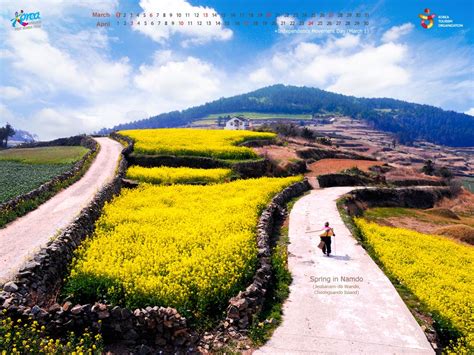 Spring in Namdo (Jeollanam-do Wando, Cheongsando Island) | Asia travel ...