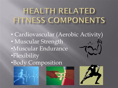 Ppt Health Related Fitness Components Powerpoint Presentation Free