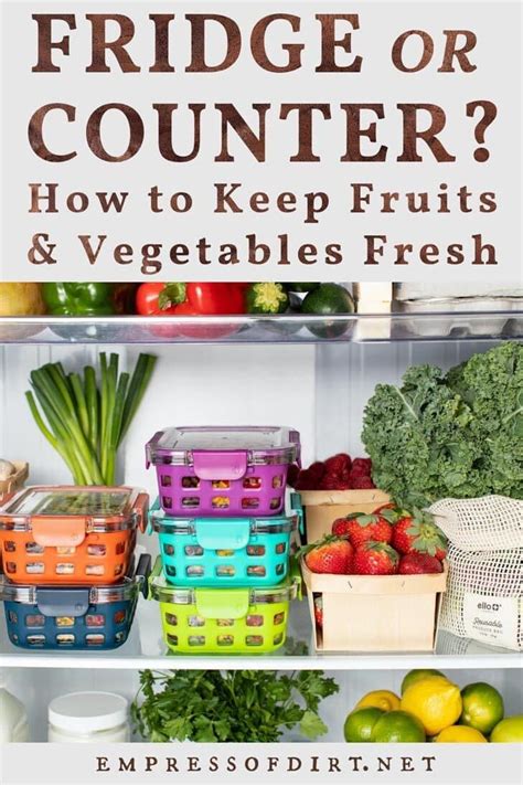 How To Store Fruits And Vegetable For Maximum Freshness Fruit And