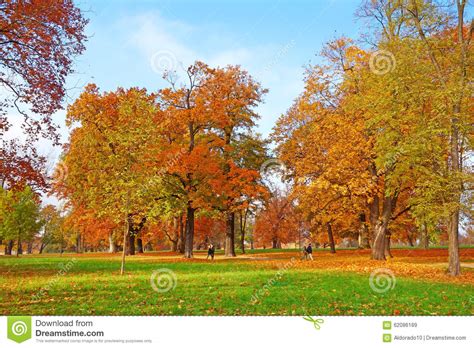 Colorful Autumn Landscape Stock Image Image Of Crowns 62086189