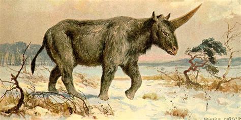 Unicorns Really Existed Science Says The Daily Dot