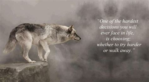 Strength Quotes Lone Wolf The Quotes