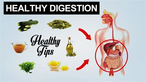 7 Tips For A Healthy Digestive System Prizewriter