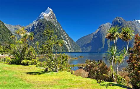 New Zealand Great Earth Expeditions