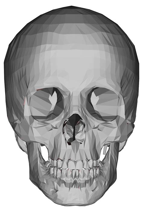 3d Low Poly Skull Clip Art Image Clipsafari