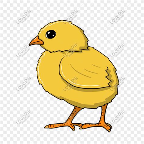 Simple Hand Drawn Hen With Chick Png Transparent Image And 40 Off