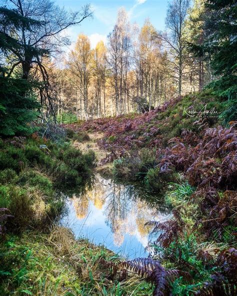 Plodda Falls Forest In Scotland Scottish Landscape Beautiful Nature