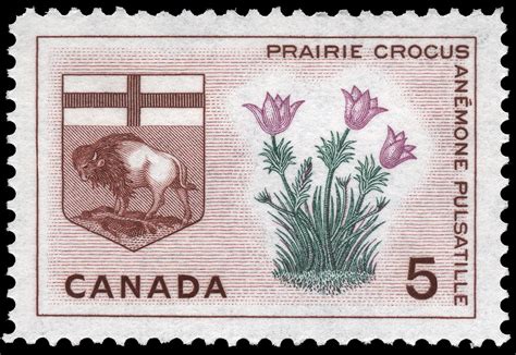 Prairie Crocus Manitoba Canada Postage Stamp Floral Emblems