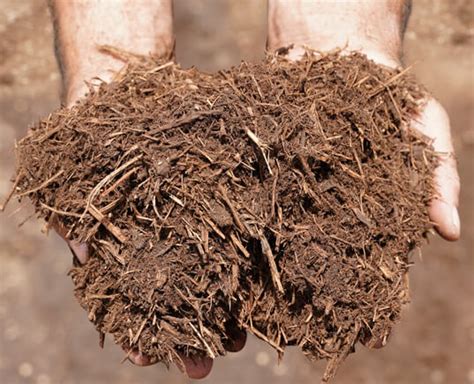 Conroe Cedar Mulch New Earth Compost