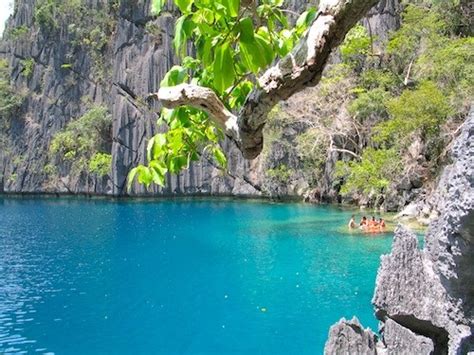 Barracuda Lake Craziest Dive Site In The Philippines Travel To The