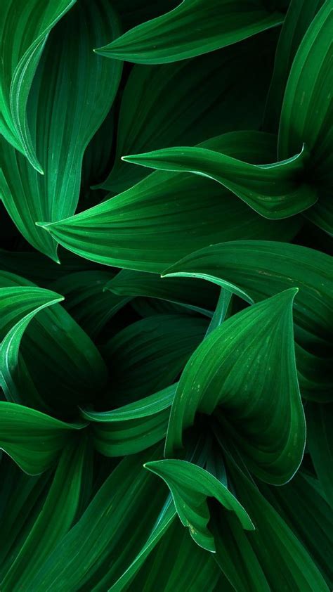 Complementary Colors To Dark Green - Which Color Matches Dark Green