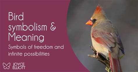 Bird Symbolism And Meaning 26 Symbolic Meanings Explained Joyce Elliott