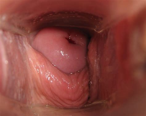 Camera Inside Vagina During Sex XXGASM