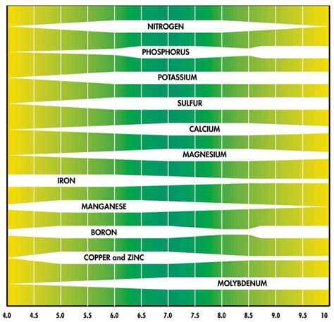 How Does The Ph Of Water Or Soil Ph Affect Plant Growth