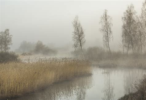 Down By The River A Foggy Morning In Trädet South West Sweden Oc